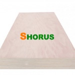 Commercial Plywood