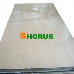 Polyester Board/PVC Board